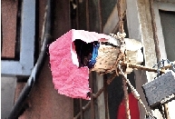 小偷半夜用布蓋住攝像頭 新買的電動車丟了 小偷半夜用布蓋住攝像頭 新買的電動車丟了