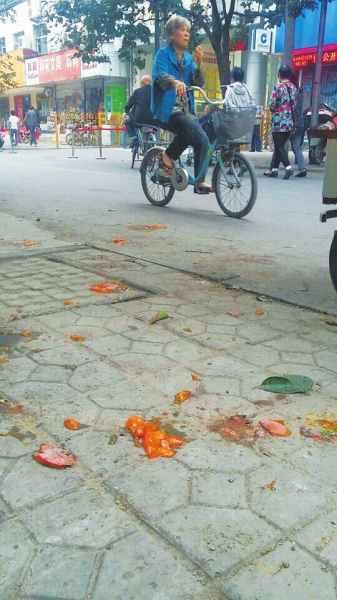 爛了一地的柿子影響市容，還常?；谷?。