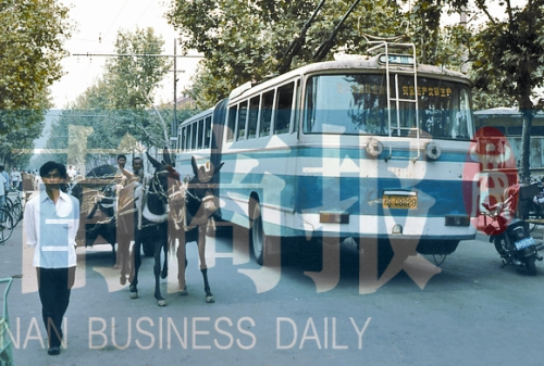 當(dāng)年的伏牛路，驢車和公交車并行