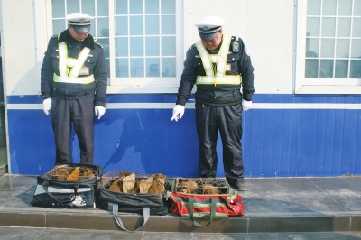 民警查獲的乘客行李包中，裝的全是獼猴。