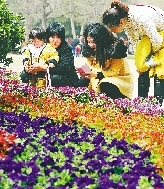 近距離才能拍得更真切。