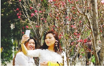 市民在公園與花合影。