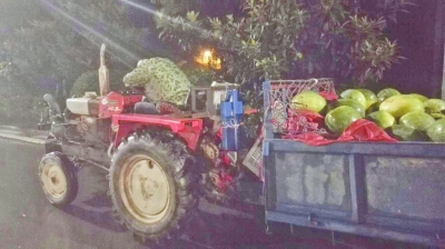 瓜農趴在拖拉機上沉睡 許占源供圖 瓜農趴在拖拉機上沉睡 許占源供圖