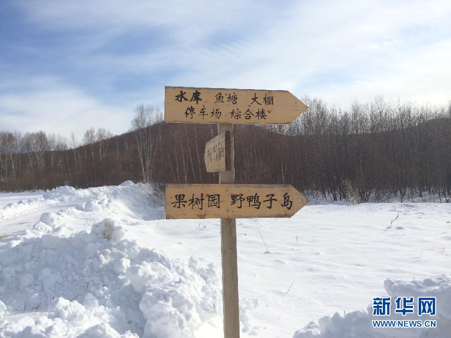 穗豐園里的標識牌（2013年12月8日攝）。新華社記者王子辰攝