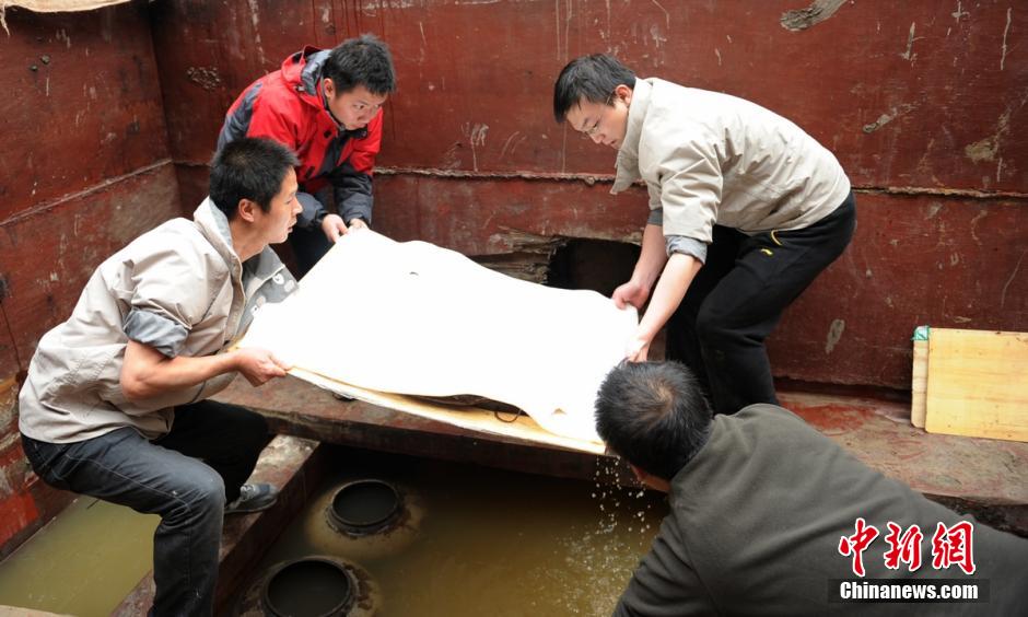 圖為考古現(xiàn)場工作人員小心翼翼將文物取出。