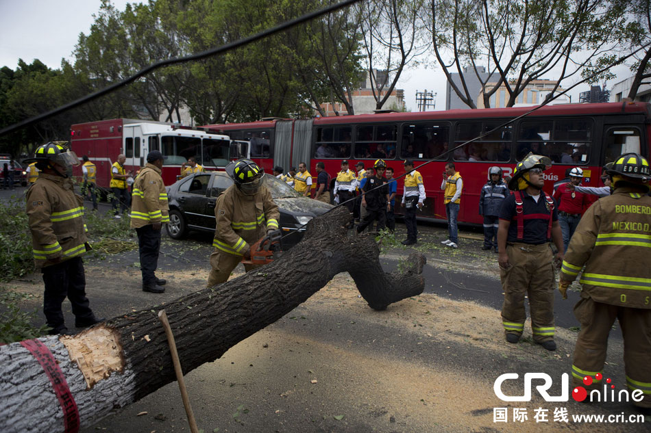 　當(dāng)?shù)貢r(shí)間2014年5月8日，墨西哥墨西哥城，消防人員正在切割一棵倒下的樹(shù)?！? width=