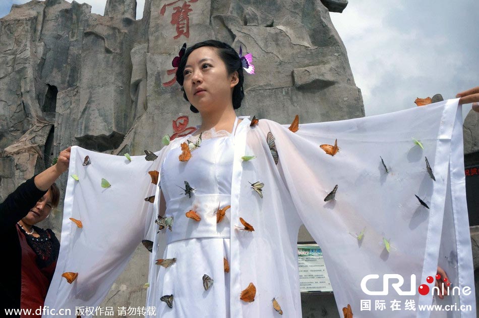 “蝴蝶仙子”身穿上百只剛剛扎死的蝴蝶。圖片來源：老祝/東方IC