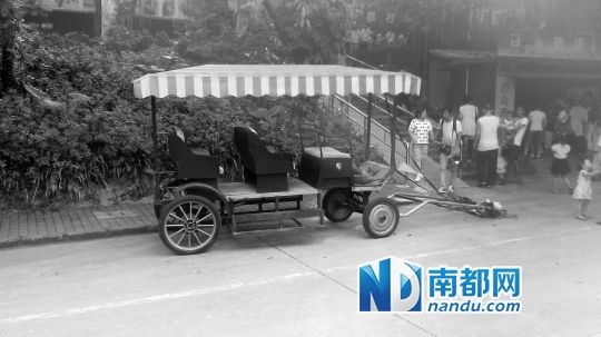 園方則稱解剖后發(fā)現(xiàn)馬死于心臟衰竭，“與累無關(guān)”。