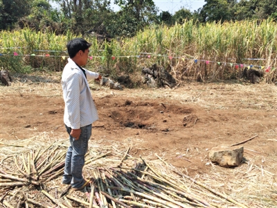 昨日，在大水桑樹村，村民向記者展示13日造成5死8傷的炸彈事件彈坑。