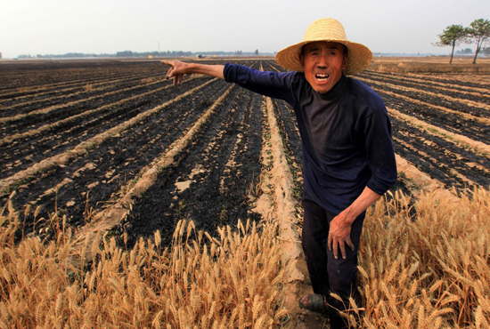 河南省滑縣、內(nèi)黃縣麥田著火，麥壟套種的花生、玉米苗也被烤焦，群眾損失慘重