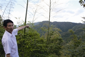 村民吳學(xué)田告訴記者，對面兩座山就是潘建友承包的部分山場 見習(xí)記者 邱一文 攝