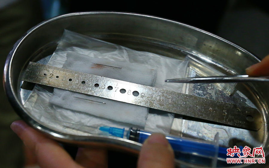 大龍顱內(nèi)取出的鋼針（上）和小龍顱內(nèi)的一樣（下），均為2.5厘米