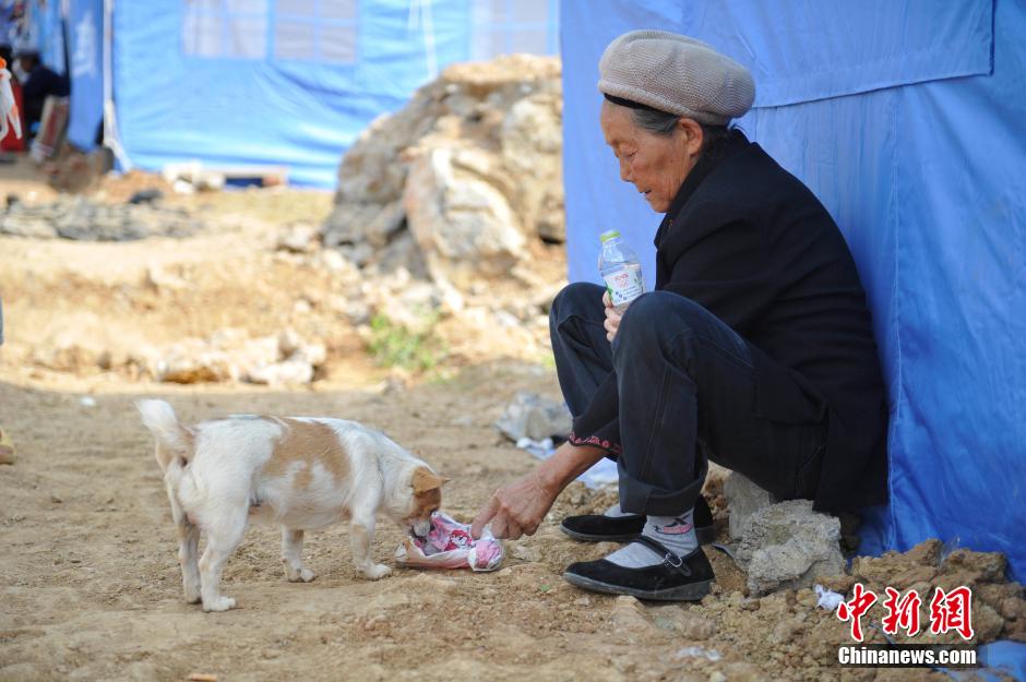 8月6日，一名老人將剛領到的礦泉水分給小狗。