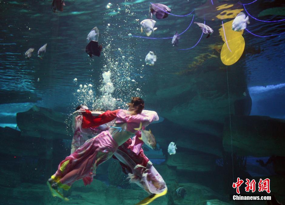 9月7日，在中秋節(jié)到來(lái)前一天，山東泉城海洋極地世界為游客帶來(lái)“嫦娥水中奔月”表演。