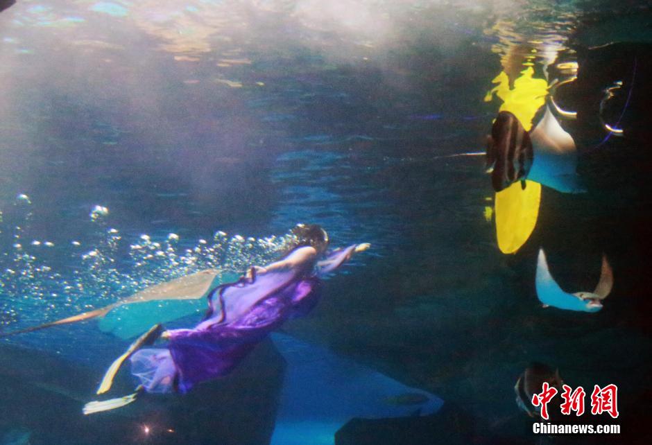9月7日，在中秋節(jié)到來(lái)前一天，山東泉城海洋極地世界為游客帶來(lái)“嫦娥水中奔月”表演。
