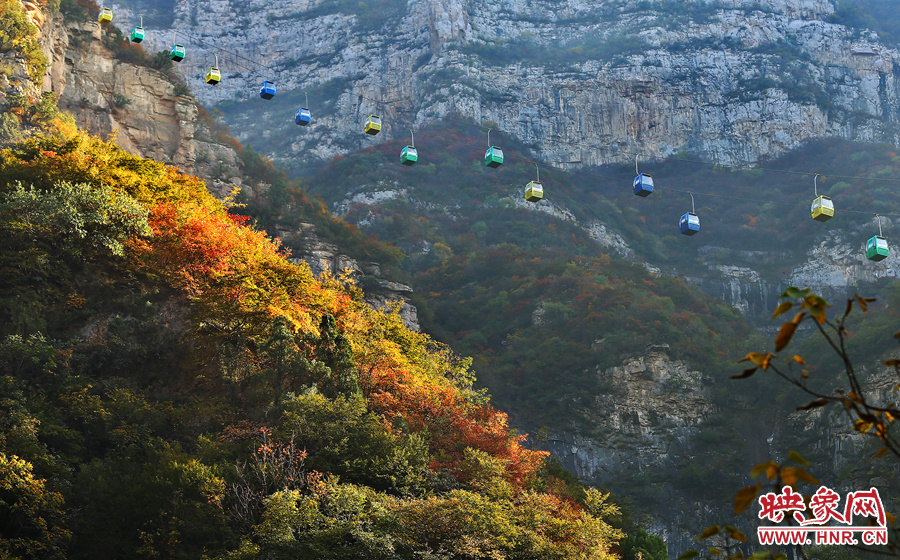 索道下的山坡，陽光灑在色彩繽紛的樹葉上