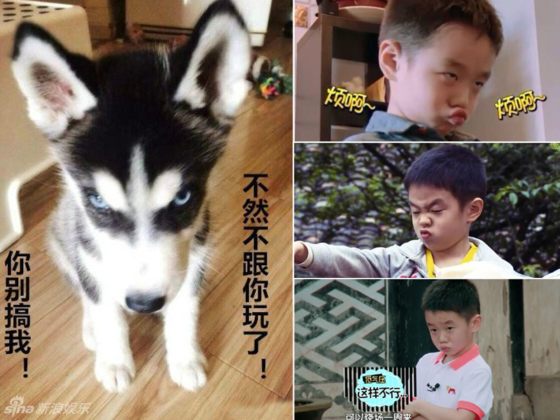 不小心就撞臉了！盤點(diǎn)動(dòng)物界的明星相