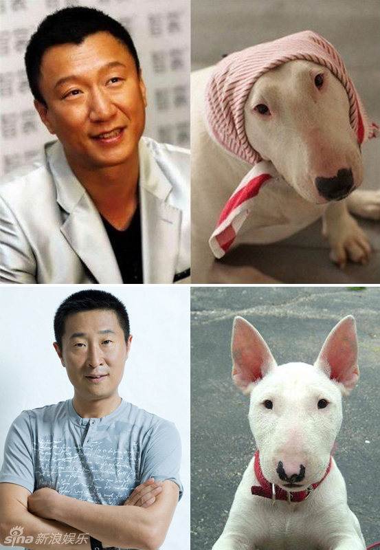 不小心就撞臉了！盤點(diǎn)動(dòng)物界的明星相