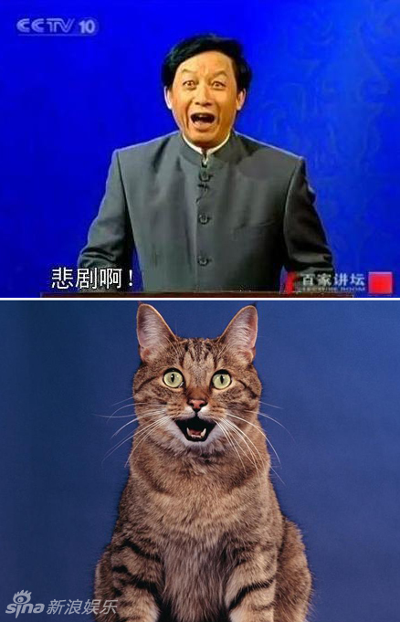 不小心就撞臉了！盤點(diǎn)動(dòng)物界的明星相