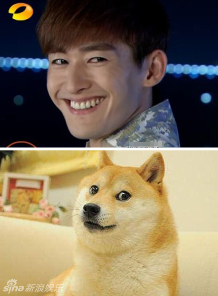 不小心就撞臉了！盤點(diǎn)動(dòng)物界的明星相