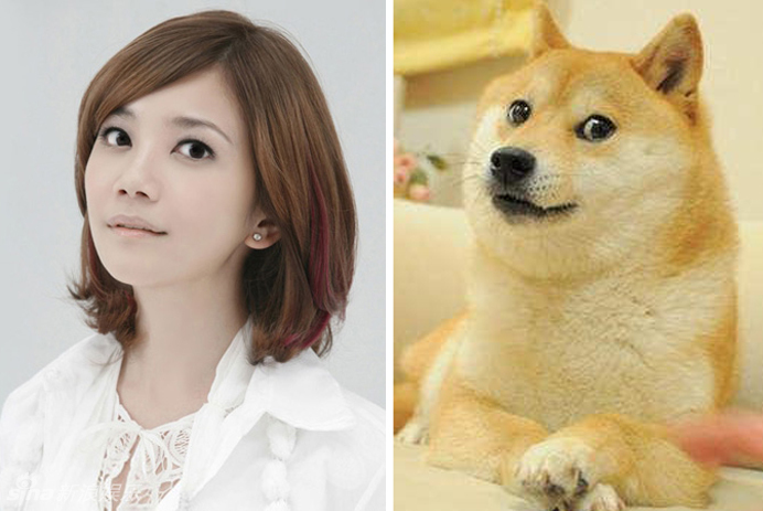 不小心就撞臉了！盤點(diǎn)動(dòng)物界的明星相