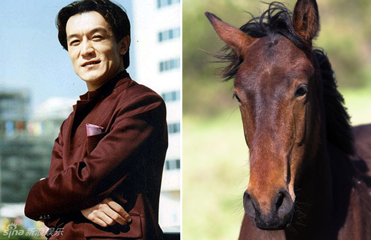 不小心就撞臉了！盤點(diǎn)動(dòng)物界的明星相