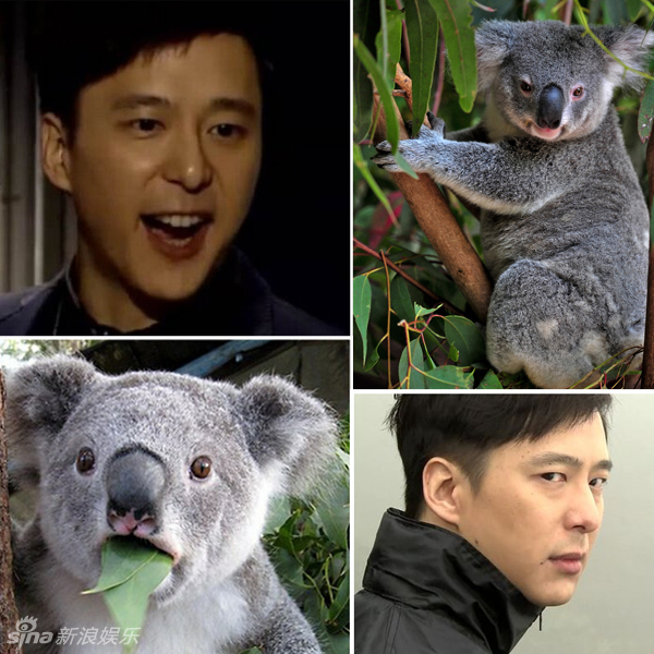 不小心就撞臉了！盤點(diǎn)動(dòng)物界的明星相