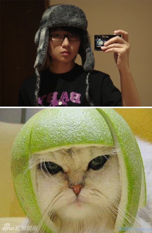 不小心就撞臉了！盤點(diǎn)動(dòng)物界的明星相