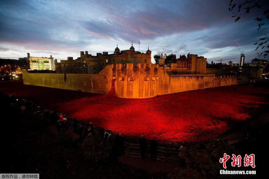 當(dāng)?shù)貢r間2014年11月10日，英國倫敦，倫敦塔周邊“種植”了888246朵陶瓷材質(zhì)的罌粟花，以此紀(jì)