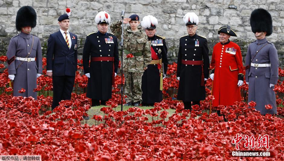 當(dāng)?shù)貢r間2014年11月10日，英國倫敦，倫敦塔周邊“種植”了888246朵陶瓷材質(zhì)的罌粟花，以此紀(jì)