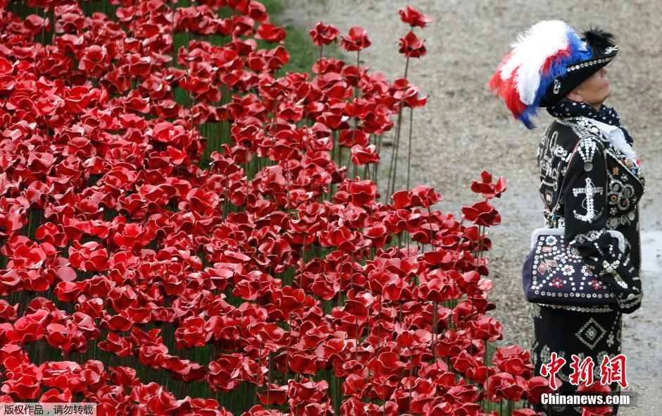 當(dāng)?shù)貢r間2014年11月10日，英國倫敦，倫敦塔周邊“種植”了888246朵陶瓷材質(zhì)的罌粟花，以此紀(jì)