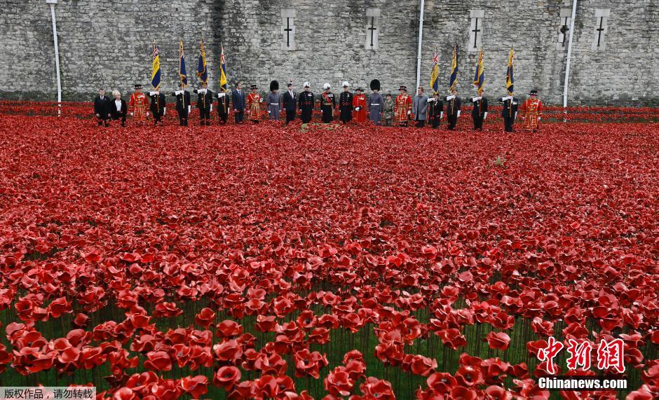 當(dāng)?shù)貢r間2014年11月10日，英國倫敦，倫敦塔周邊“種植”了888246朵陶瓷材質(zhì)的罌粟花，以此紀(jì)