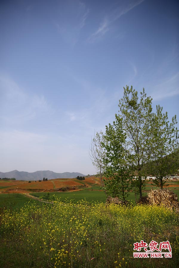 庫區(qū)的藍(lán)天、白云、綠樹、黃花給人清新的享受