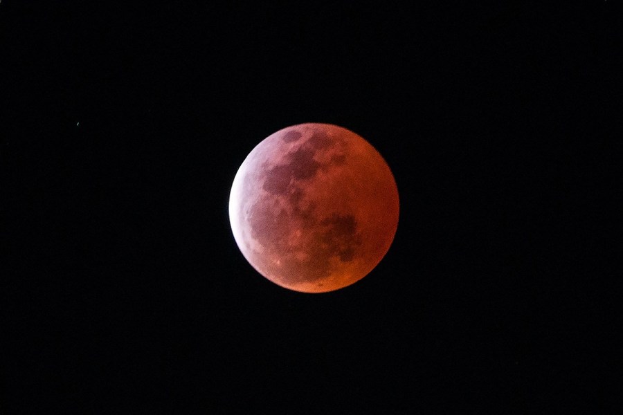 4月4日，福州上空出現(xiàn)紅月亮。楊婀娜/CFP