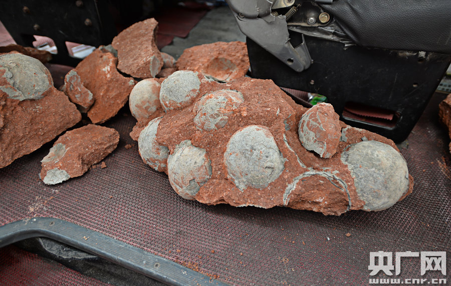 其中完整的19枚，都是直徑約13厘米的“大個子”。