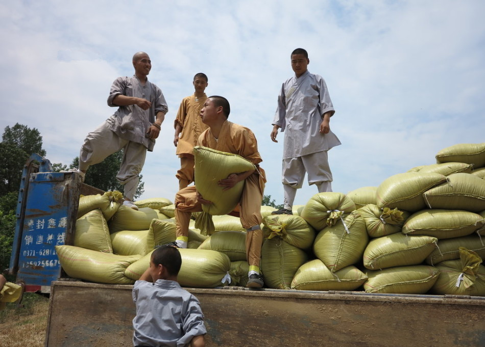武僧將打包后的糧食集中至運輸車輛上。