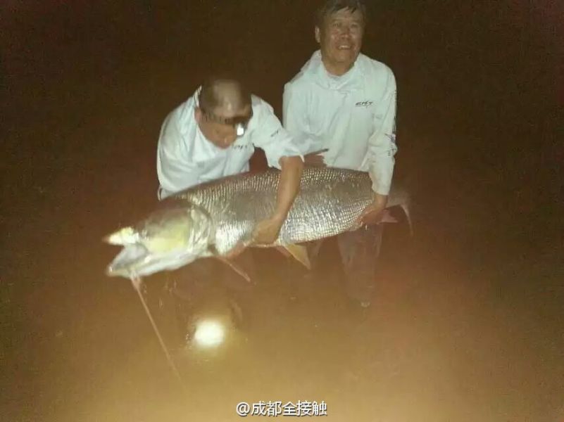 圖為大魚(yú)需要兩個(gè)人抱起。