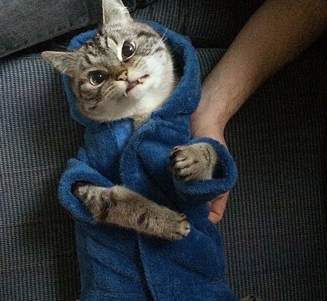 身穿浴袍的Loki好像看起來也沒那么兇哦。