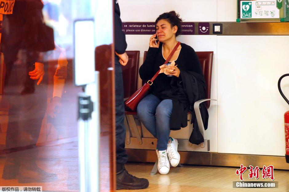 載66人埃航失聯(lián)客機(jī)墜毀 同線航班當(dāng)晚照常起飛 載66人埃航失聯(lián)客機(jī)墜毀 同線航班當(dāng)晚照常起飛