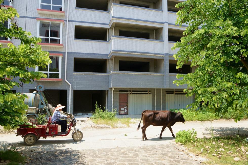 2016年7月26日，村民在廣西來賓市忻城縣隆達(dá)山水福城荒廢別墅間放牛。