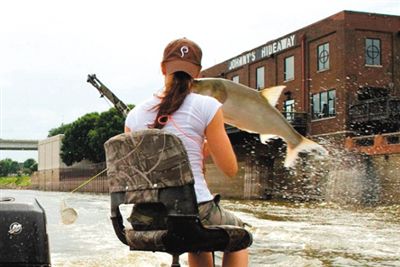 亞洲鯉魚突然躍出水面，對游客“發(fā)動襲擊”。