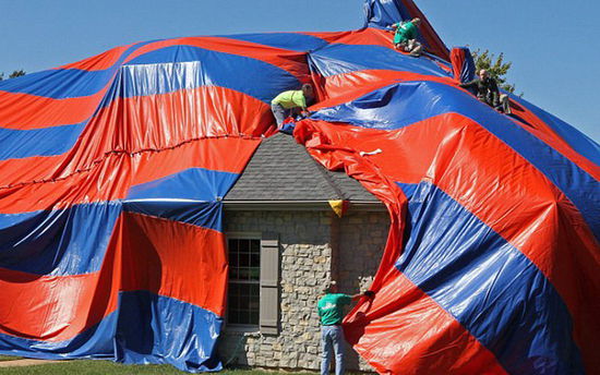 美家庭新買住房中發(fā)現(xiàn)6000只毒蜘蛛 獲賠47萬(wàn)美元(組圖)