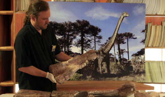 委內(nèi)瑞拉發(fā)現(xiàn)罕見恐龍化石 骨關(guān)節(jié)排列結(jié)構(gòu)特殊 委內(nèi)瑞拉發(fā)現(xiàn)罕見恐龍化石 骨關(guān)節(jié)排列結(jié)構(gòu)特殊