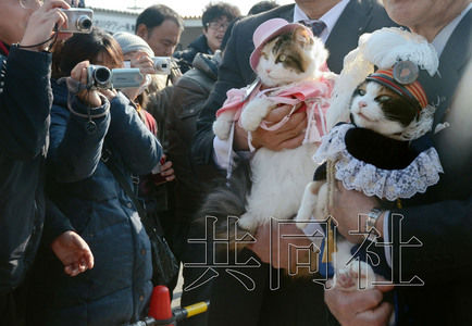 圖為粉絲們簇?fù)碇鞍⒂瘛闭鹃L(zhǎng)（右）。左側(cè)為其部下“二玉”。