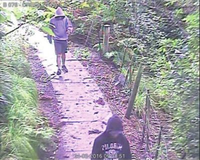 中國留學生新西蘭頻遭襲擊 警方被斥不作為 中國留學生新西蘭頻遭襲擊 警方被斥不作為