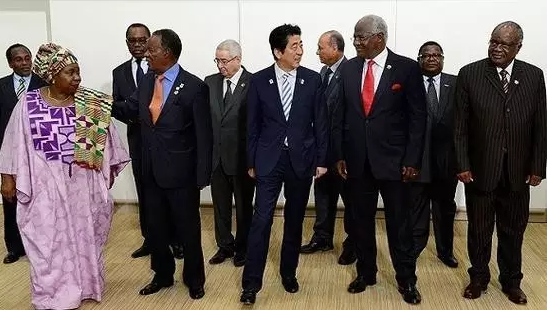 安倍此去肯尼亞是為了出席日本政府主導的第六屆非洲開發(fā)會議。此次會議通過了內羅畢宣言：主要內容包括，促進經(jīng)濟多元化，通過產(chǎn)業(yè)化推動經(jīng)濟結構改革;促進保障高品質的保健系統(tǒng);促進保障共同繁榮的社會安定。