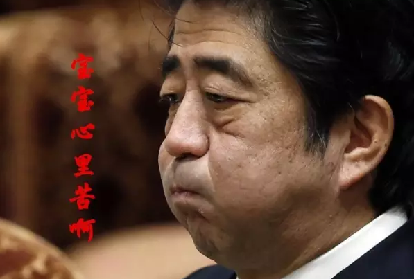 這種看安倍“熱鬧”的事兒，環(huán)環(huán)絕不私藏，一定雨露均沾!