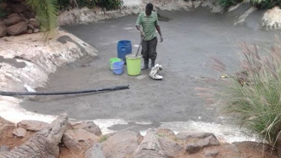 穆克的養(yǎng)殖場(chǎng)，鱷視眈眈下的工作人員。