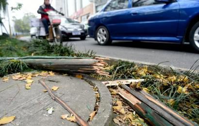 事發(fā)現(xiàn)場(chǎng)，嫌疑車輛撞壞的木樁。