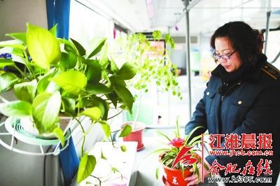 合肥公交司機(jī)自費(fèi)購(gòu)買《三字經(jīng)》裝飾車廂獲贊